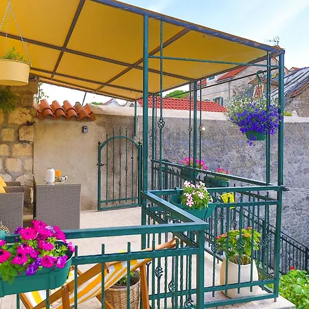 Apartment & Gordana *